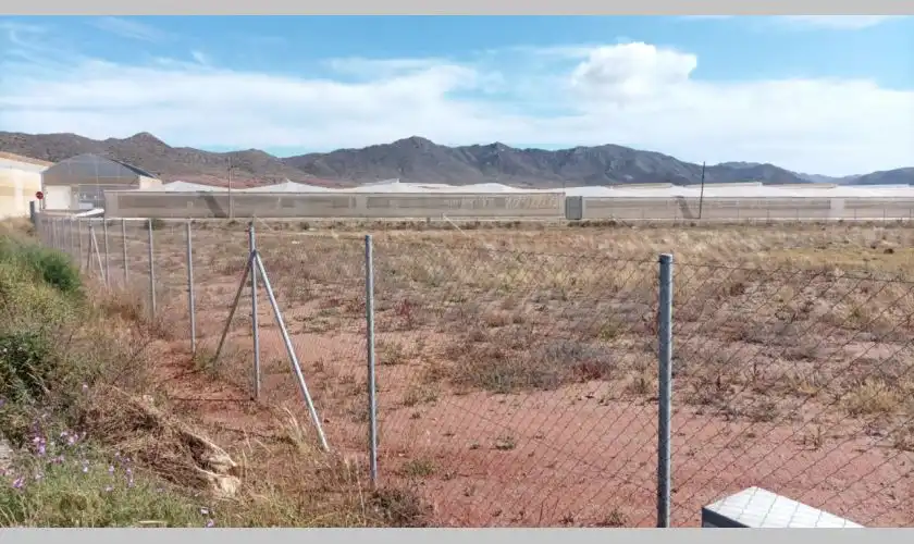 Terreny industrial en venda en Níjar