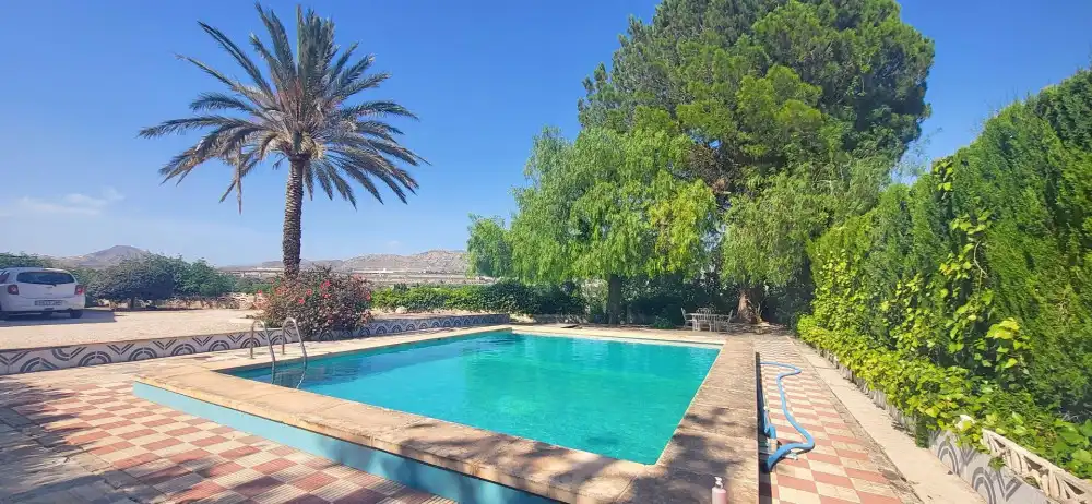 Piscina de Casa o chalet en venta en Novelda