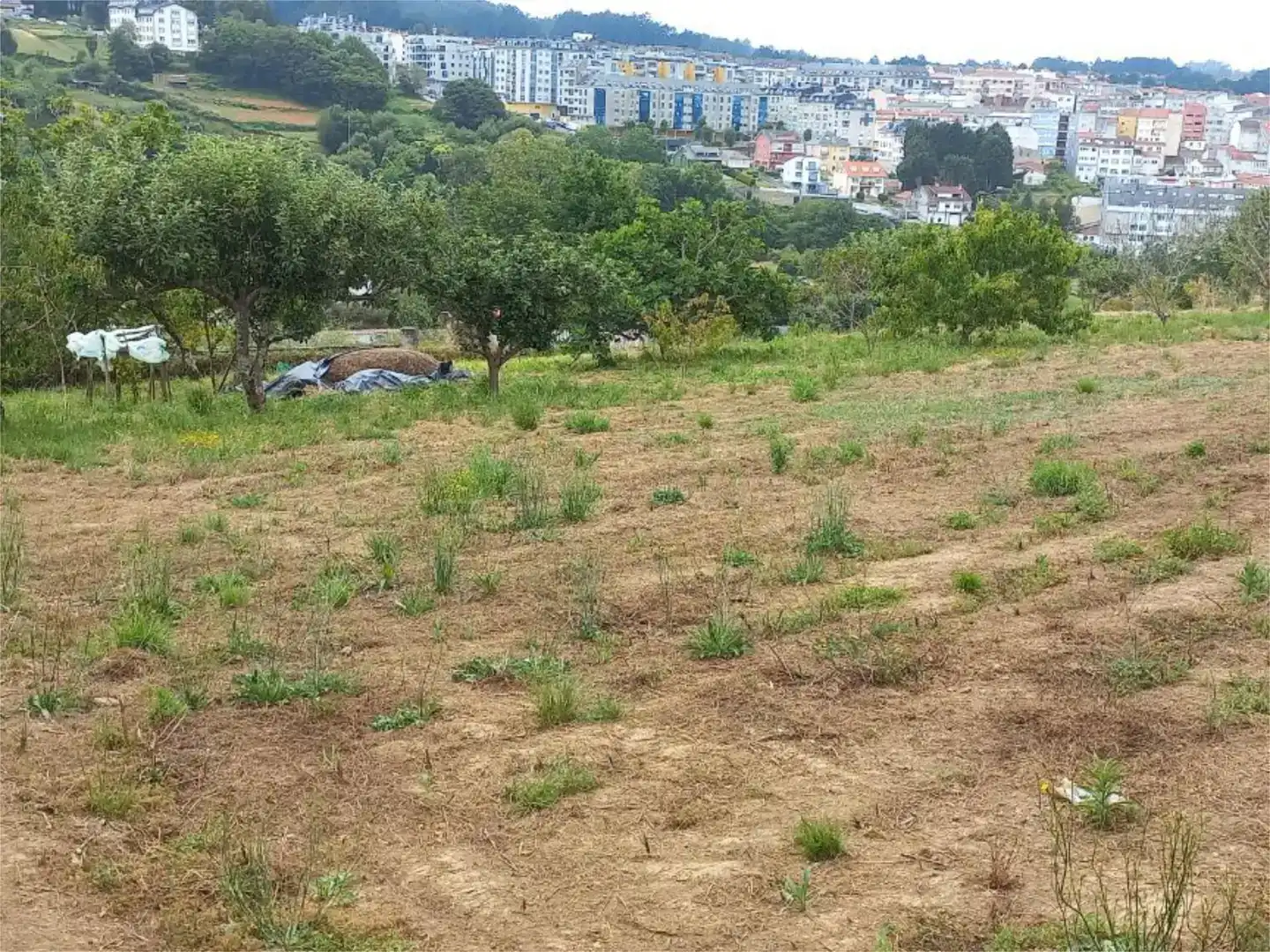 Grundstücke zur Miete in Betanzos