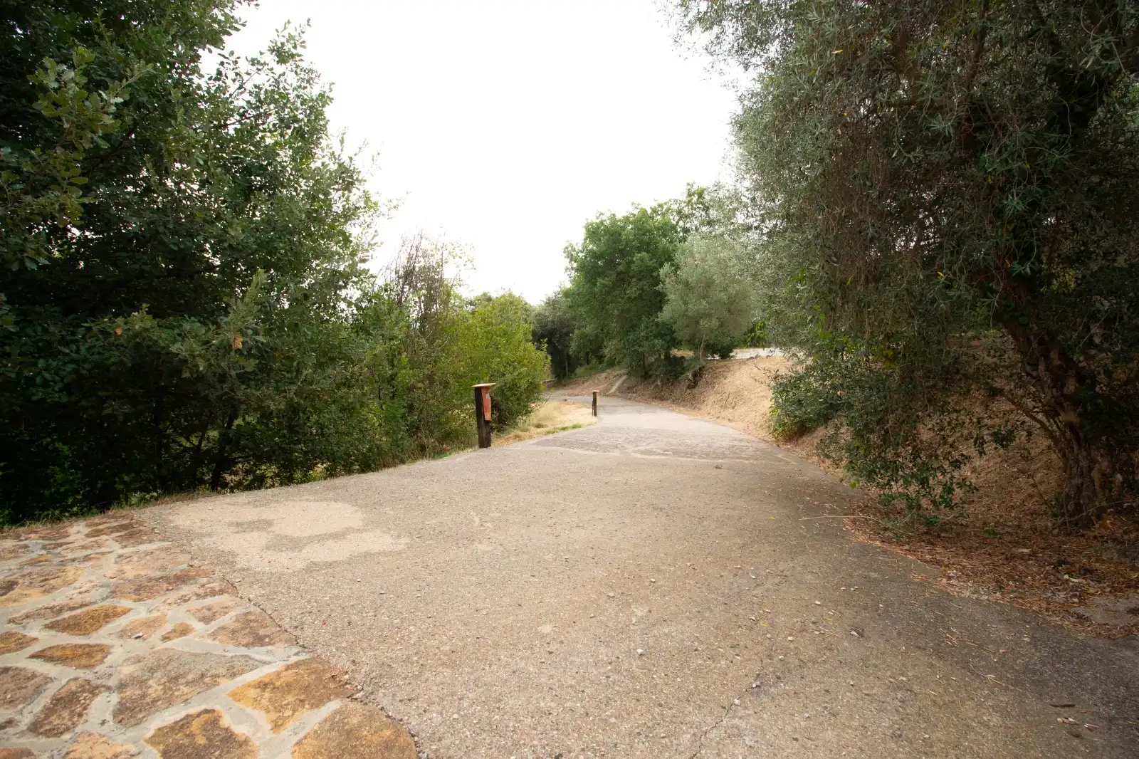 Vista exterior de Finca rústica en venda en Mieres (Girona) amb Jardí privat, Terrassa i Traster
