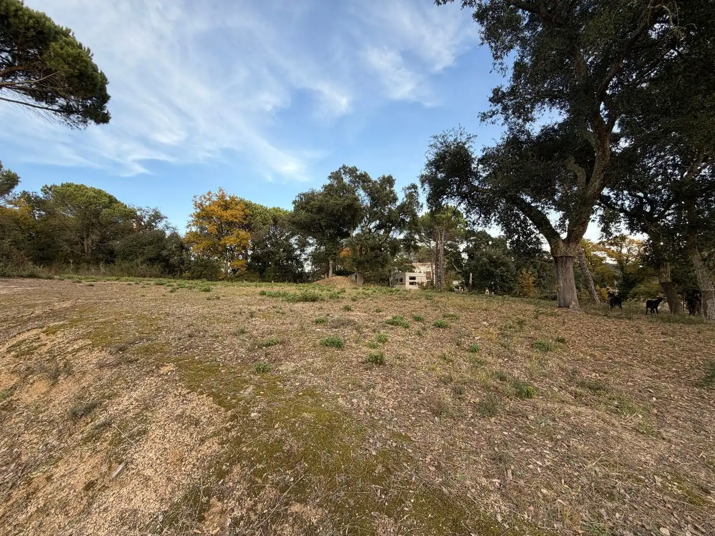 Residencial en venda en Massanes