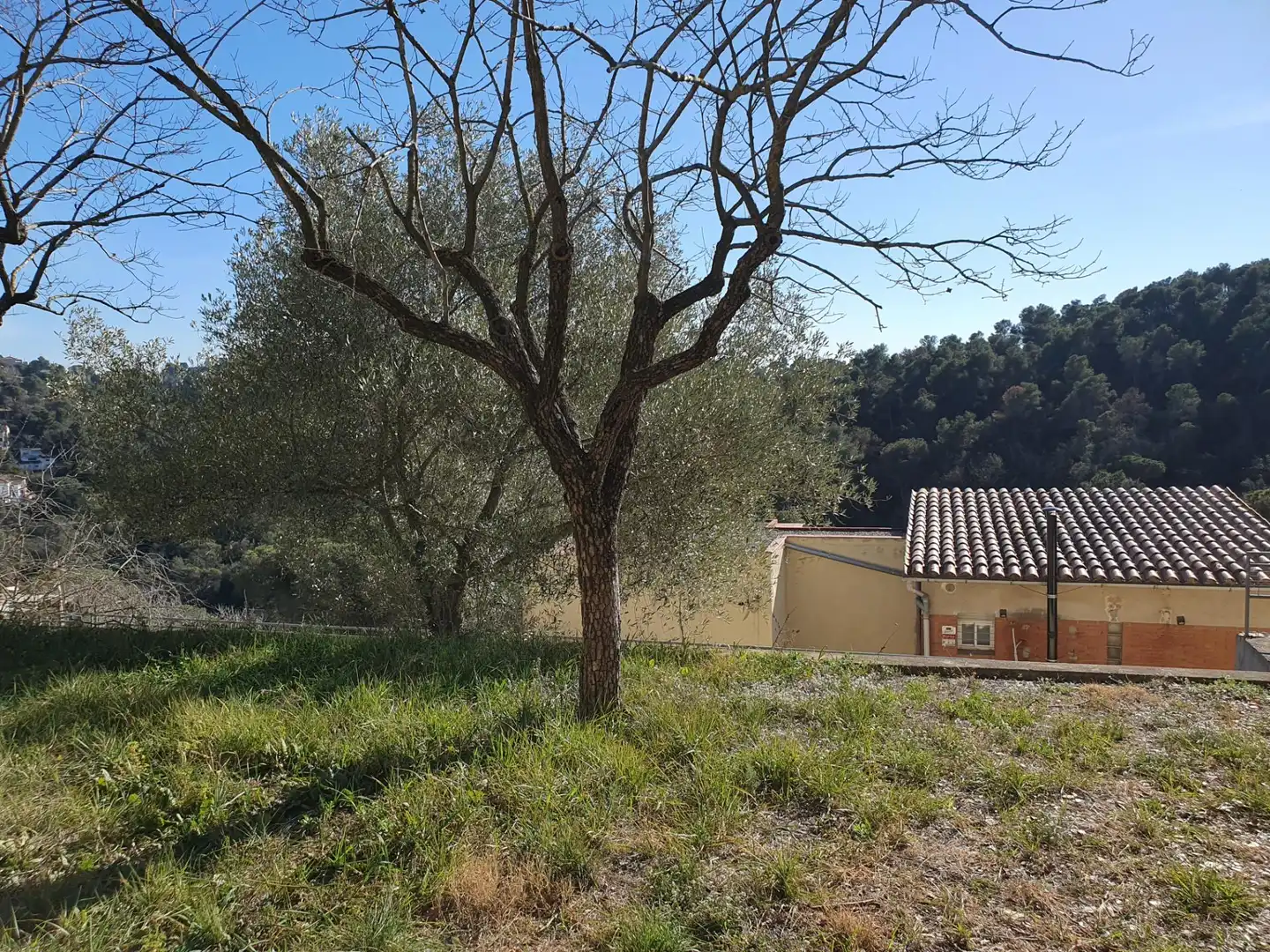 Terreny residencial en venda a Sarrià - Sant Gervasi, imagen 33