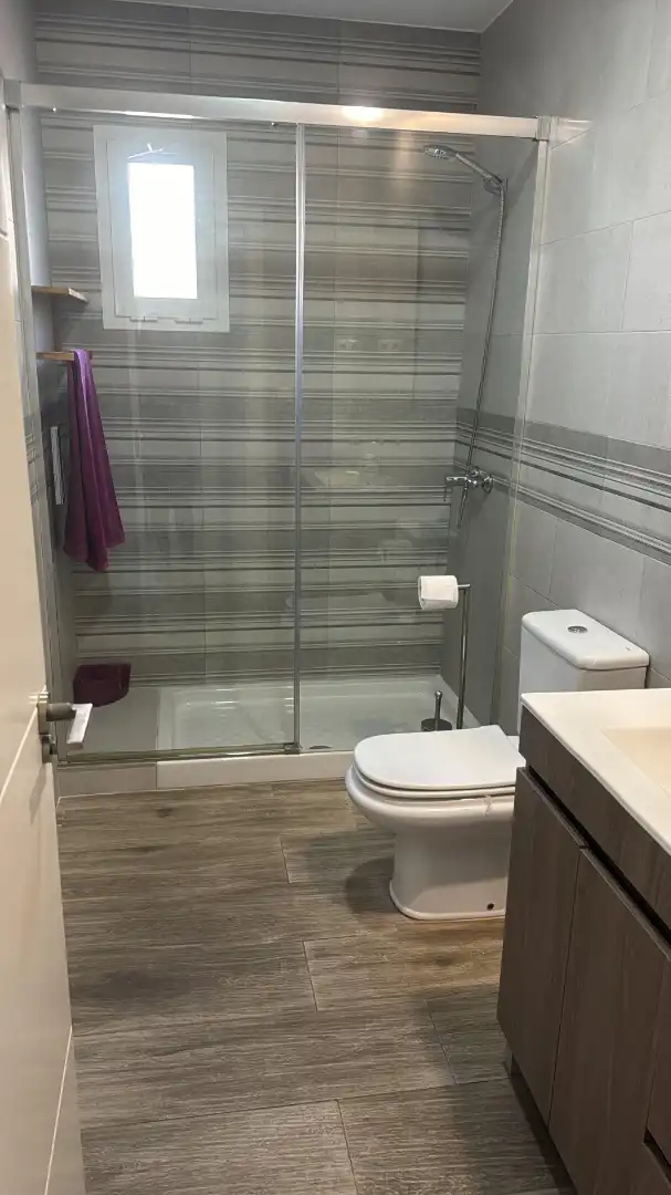Bathroom of Apartments for rent in Málaga  with Air Conditioner, Terrace and Furnished