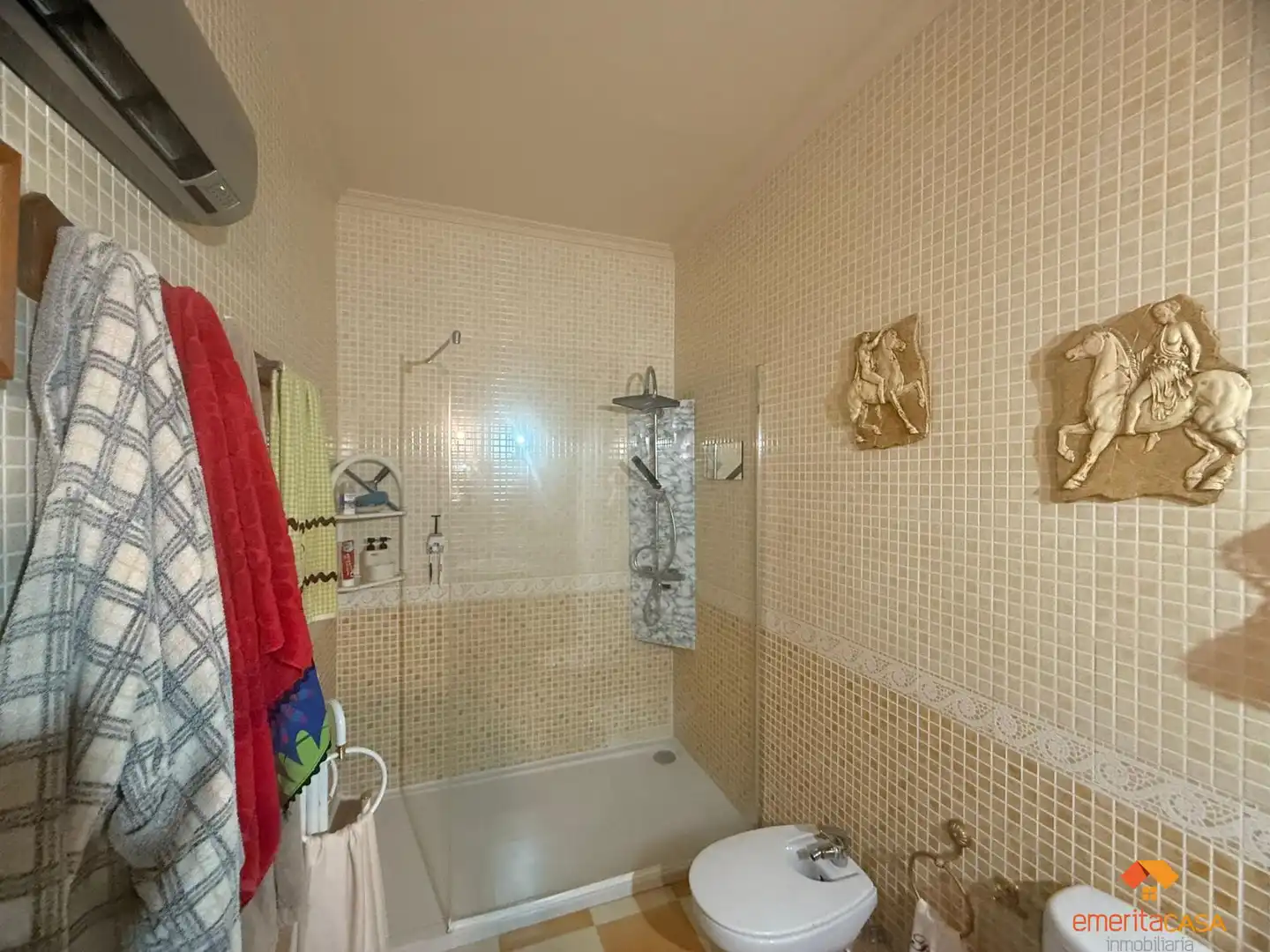 Baño de Casa o chalet en venta en Mérida con Aire acondicionado, Calefacción y Trastero