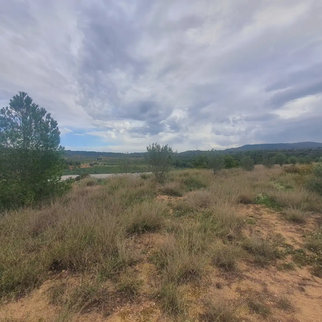 Rustikales Grundstück zum Verkauf in El Pinell de Brai, imagen 12