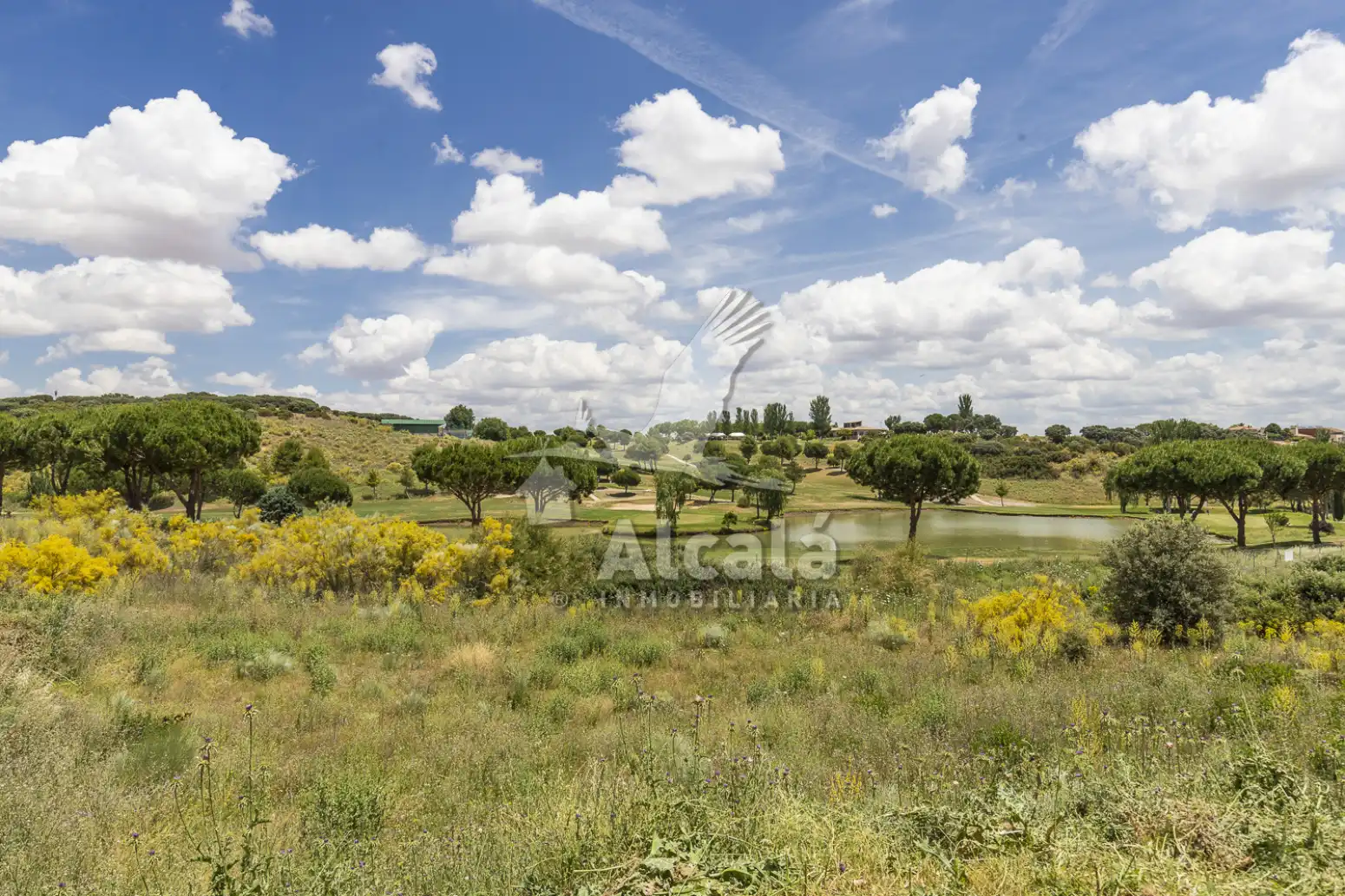 Terreny rústic en venda a Cabanillas del Campo, imagen 13