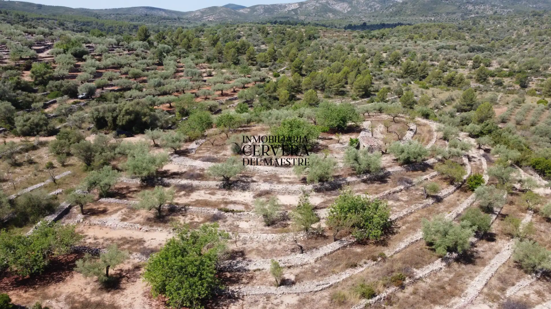 Terreno rustico in vendita a Cervera del Maestre, imagen 18