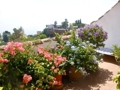 Terrasse von Dachboden zum Verkauf in Mijas mit Terrasse