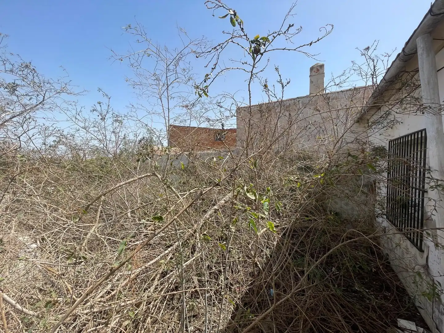 Maison à vendre à Calle vicente blasco ibañez, imagen 15