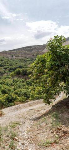 Finca rústica en Venta en Los Tablones - La Garnatilla