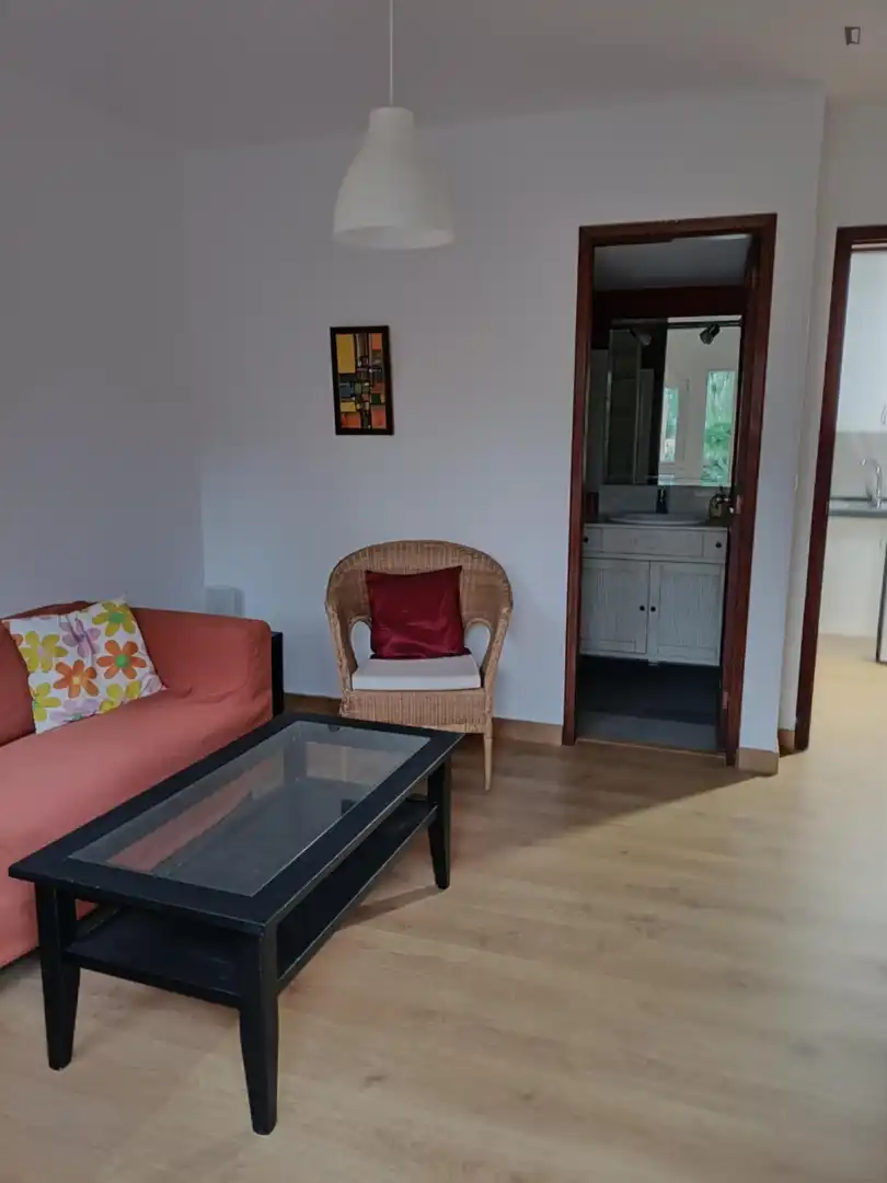 Living room of Apartments for rent in Las Palmas de Gran Canaria  with Furnished and Washing machine