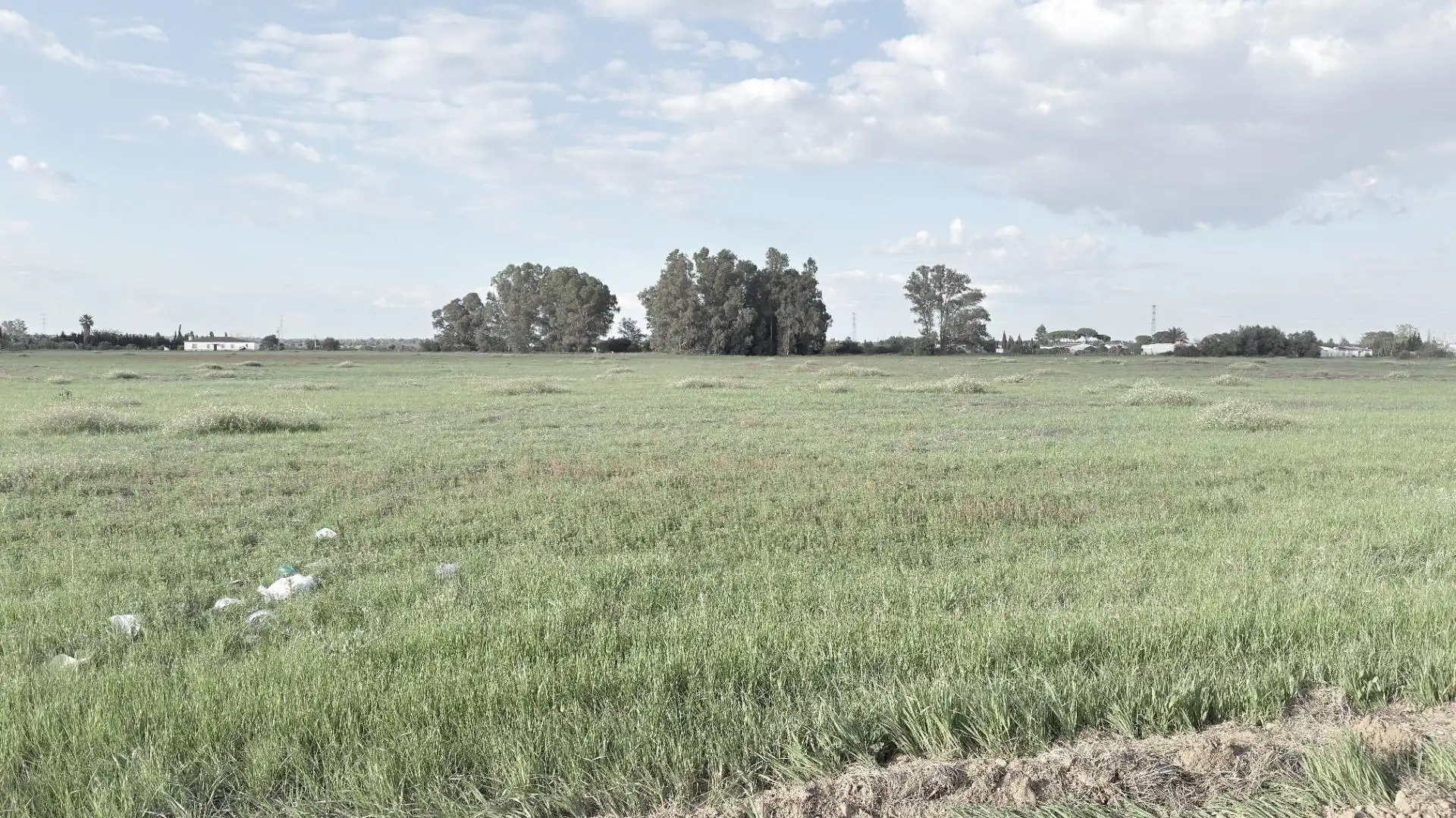 Terrenos y solares en venta en Gibraleón, imagen 5