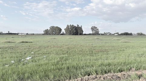 FINCA RUSTICA EN EL PINTADO GIBRALEÓN  HUELVA, immagine 5
