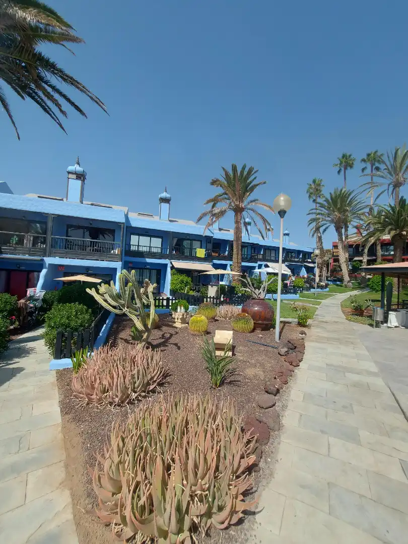 Vista exterior de Casa o chalet en venta en San Agustín - Bahía Feliz