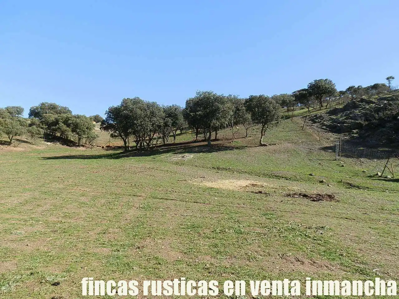 Terreno en venta en Almuradiel
