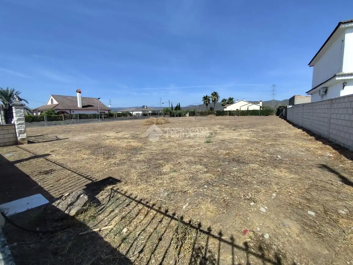 Terrain rustique à vendre à Alcolea, imagen 2