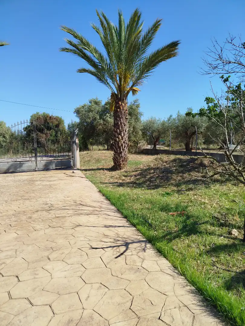 Casa o xalet en venda en Benicarló amb Aire condicionat, Calefacció i Jardí privat