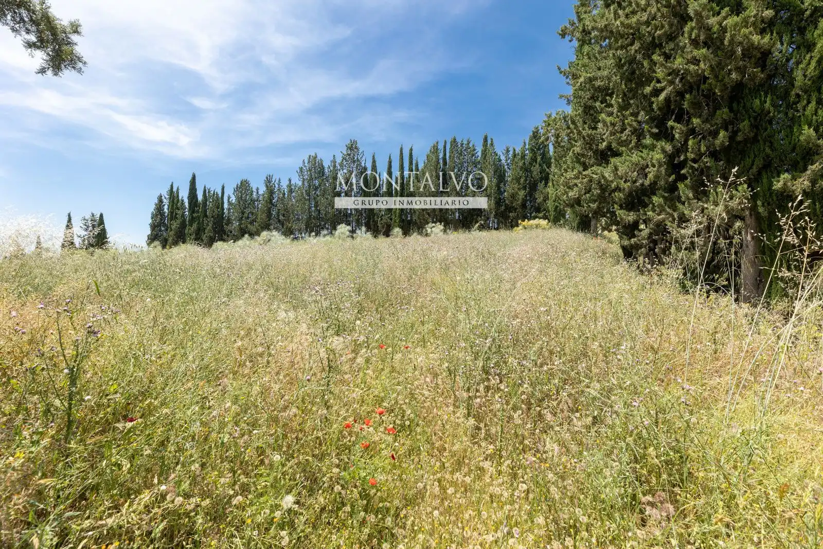 Land for sale in Pinos Puente