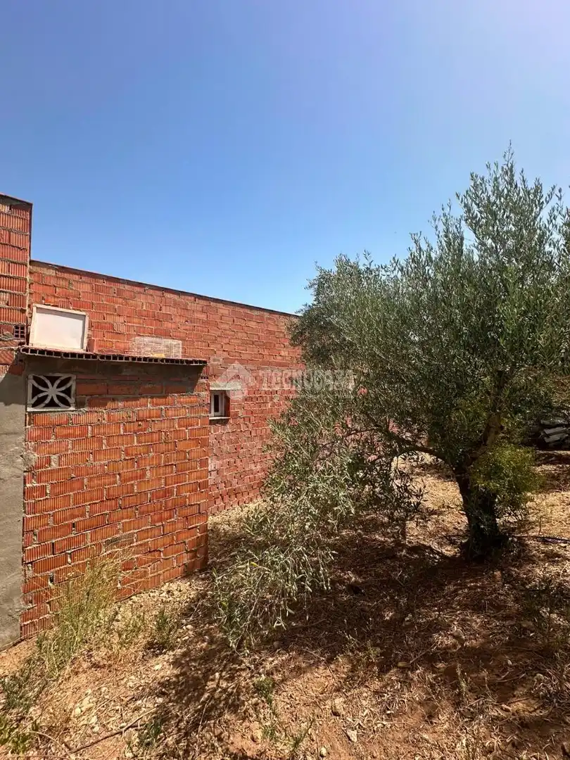 Casa rústica en venda a Arcos de la Frontera, imagen 10