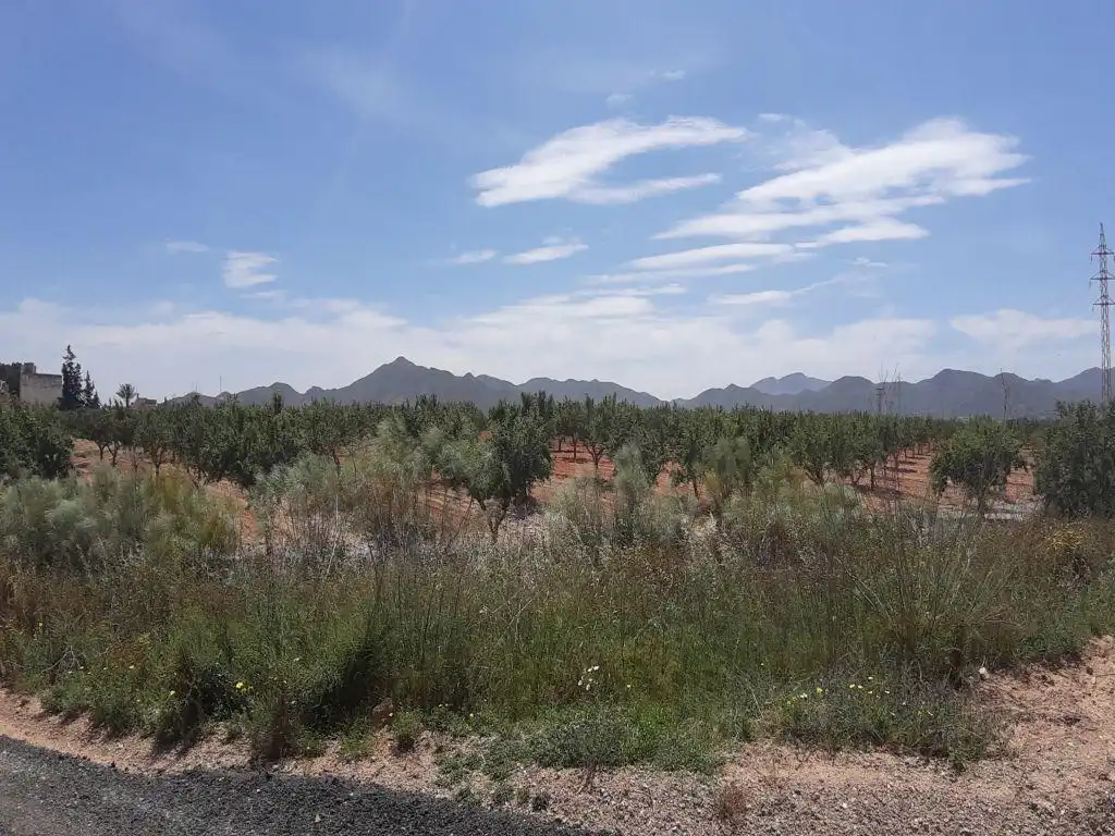 Residencial en venda en Fuente Álamo de Murcia