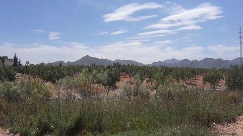 Foto 4 de Residencial en venda a Los Barrancos y Paganes, La Pinilla - Las Palas, Fuente Álamo de Murcia