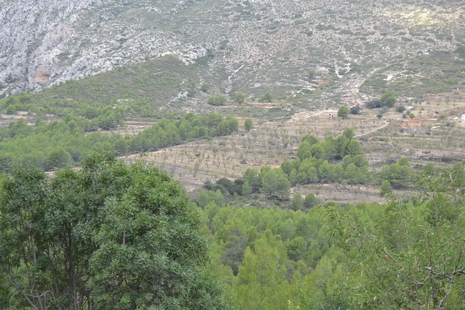 Finca rústica en venda en Sella