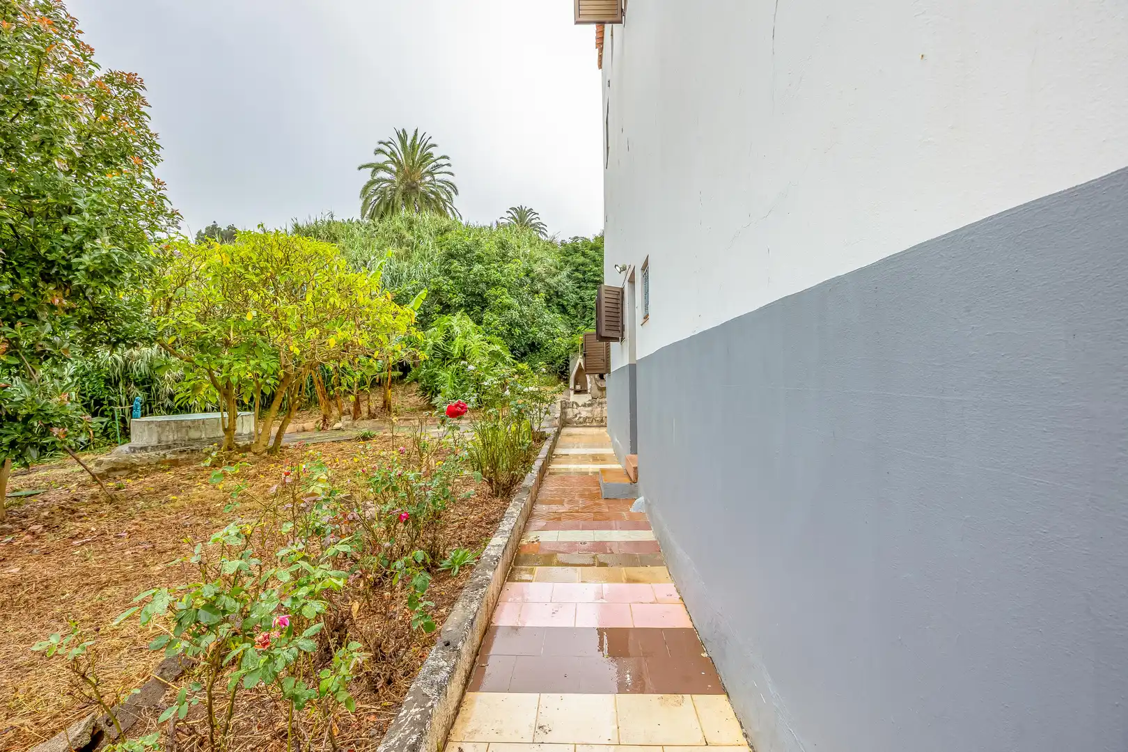 Casa o chalet en venta en Calle Sinesio Yánez Travieso, 41, El Palmar