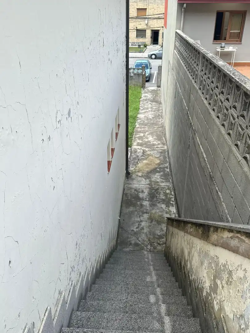 Exterior view of Houses for sale in Laviana  with Private garden and Terrace