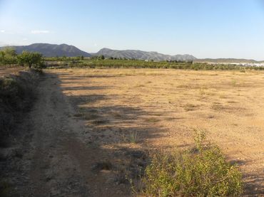 Terreny residencial en venda a Caravaca de la Cruz