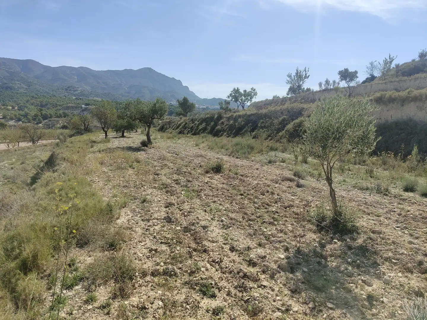 Terreny residencial en venda a Tibi, imagen 3
