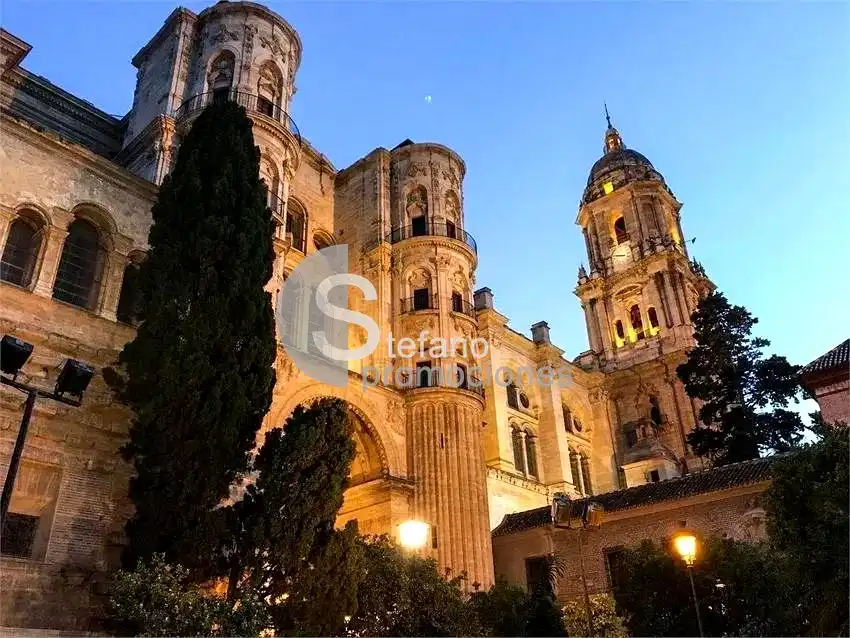 Inmuebles singulares con ascensor en venta en Centro, imagen 4