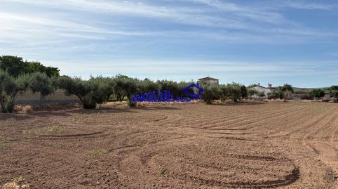 Foto 5 de Finca rústica en venda a Alcolea, Córdoba Capital