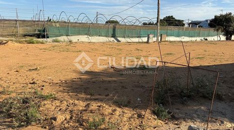 Foto 5 de Terreno en venta en La Jara, Sanlúcar de Barrameda