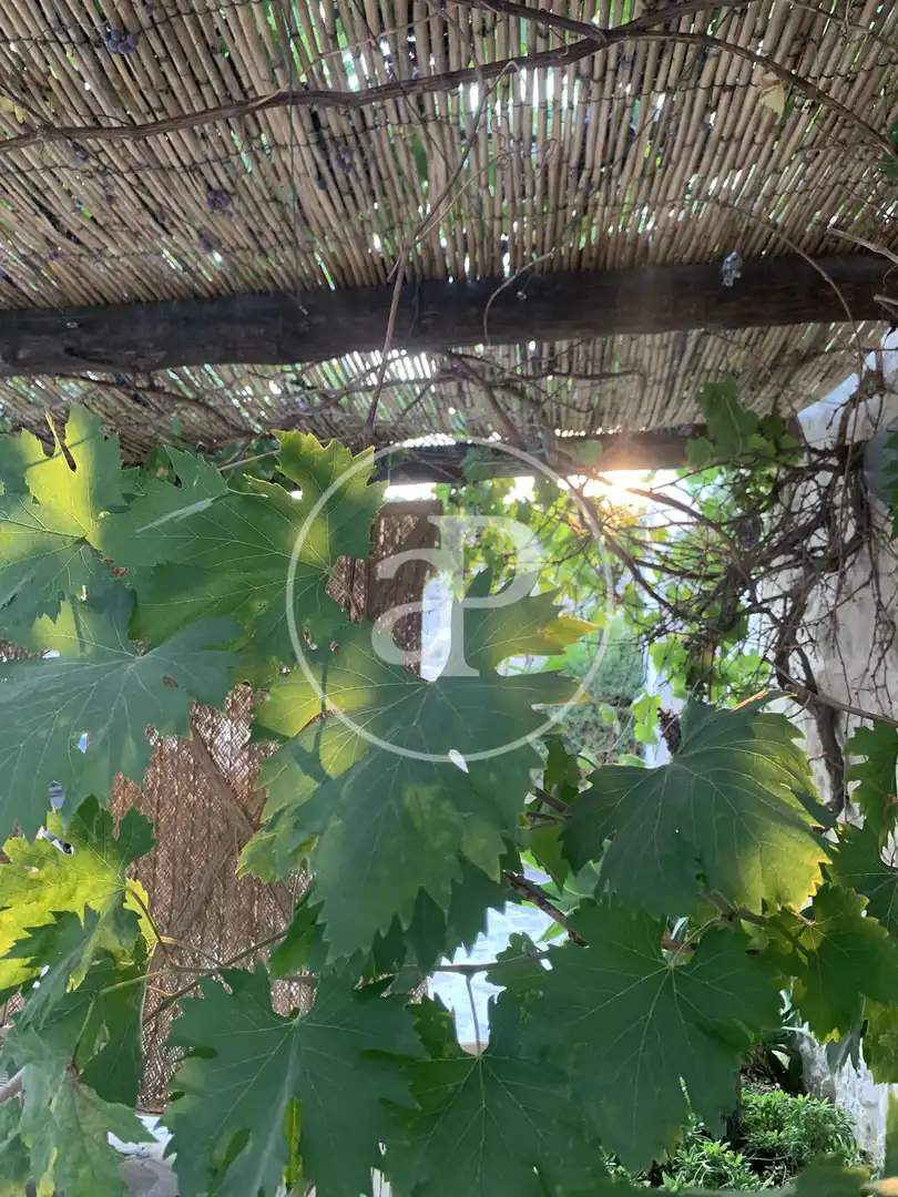 Jardí de Finca rústica en venda en Torremanzanas / La Torre de les Maçanes amb Calefacció, Jardí privat i Terrassa