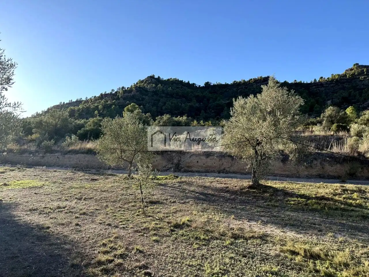 Terreno en venta en Vinebre