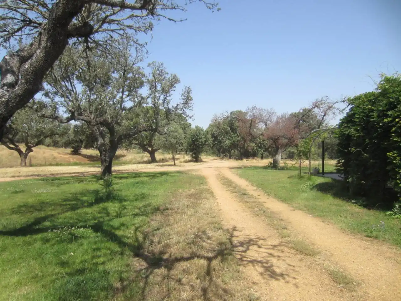 Terreno rustico in vendita a Carretera PASTORES 1, imagen 10