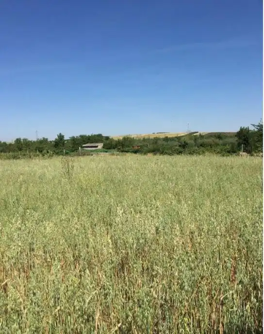 Terreno residenziale in vendita a Trujillanos, imagen 4