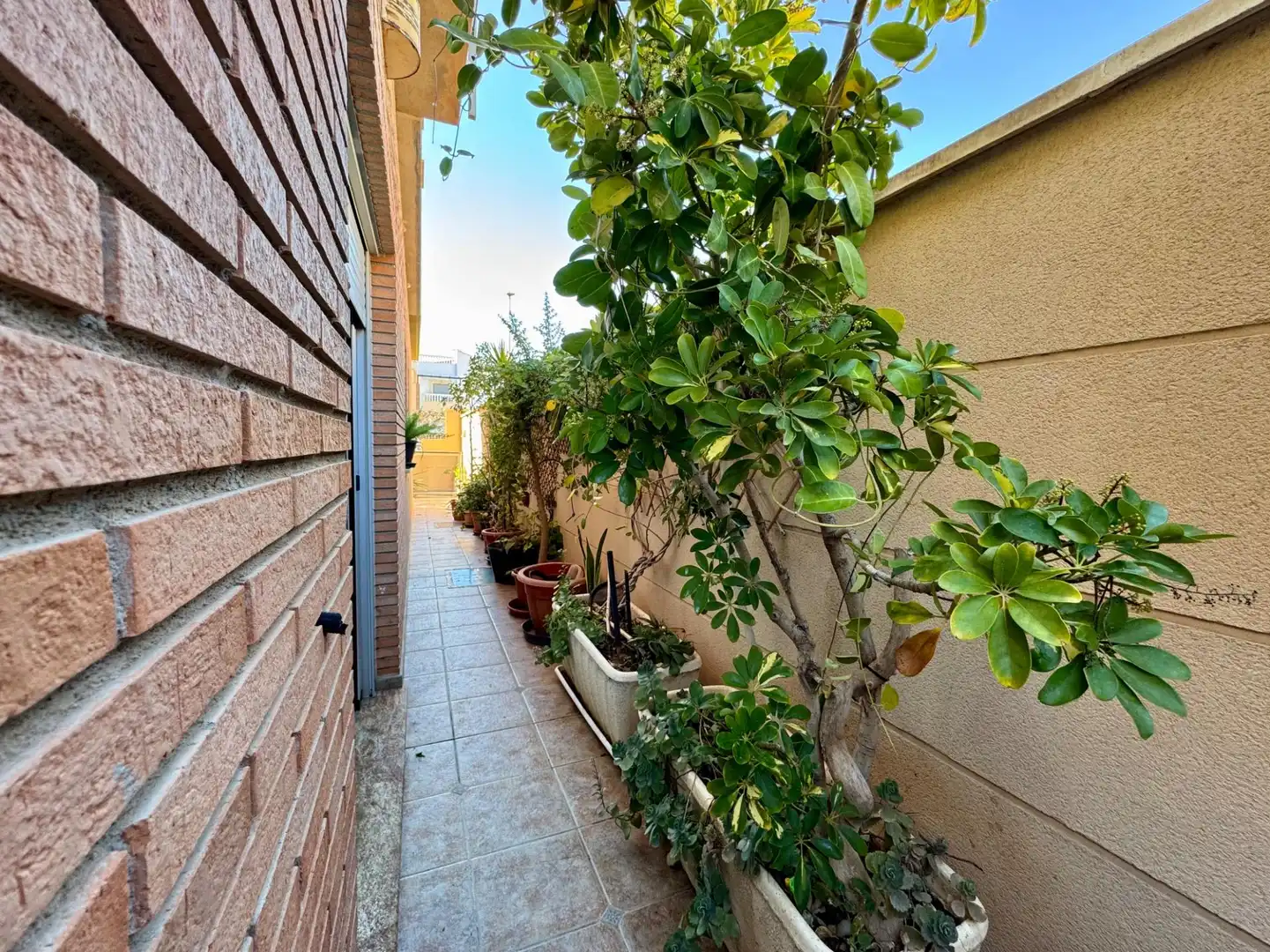 Villa avec terrasse à vendre à Calle PORTUGAL (R), imagen 65