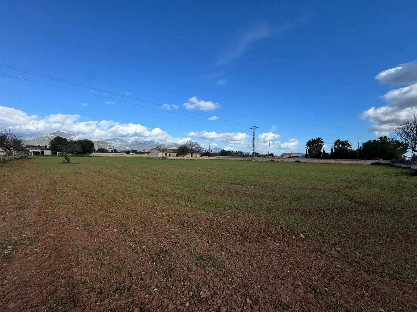 Terreno industrial en venta en Binissalem