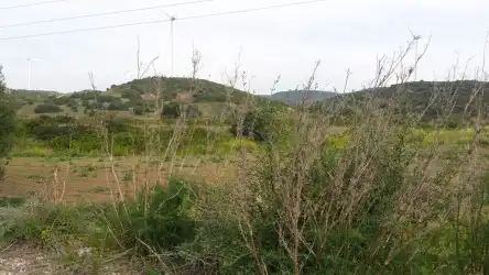 Land for sale in Cádiz