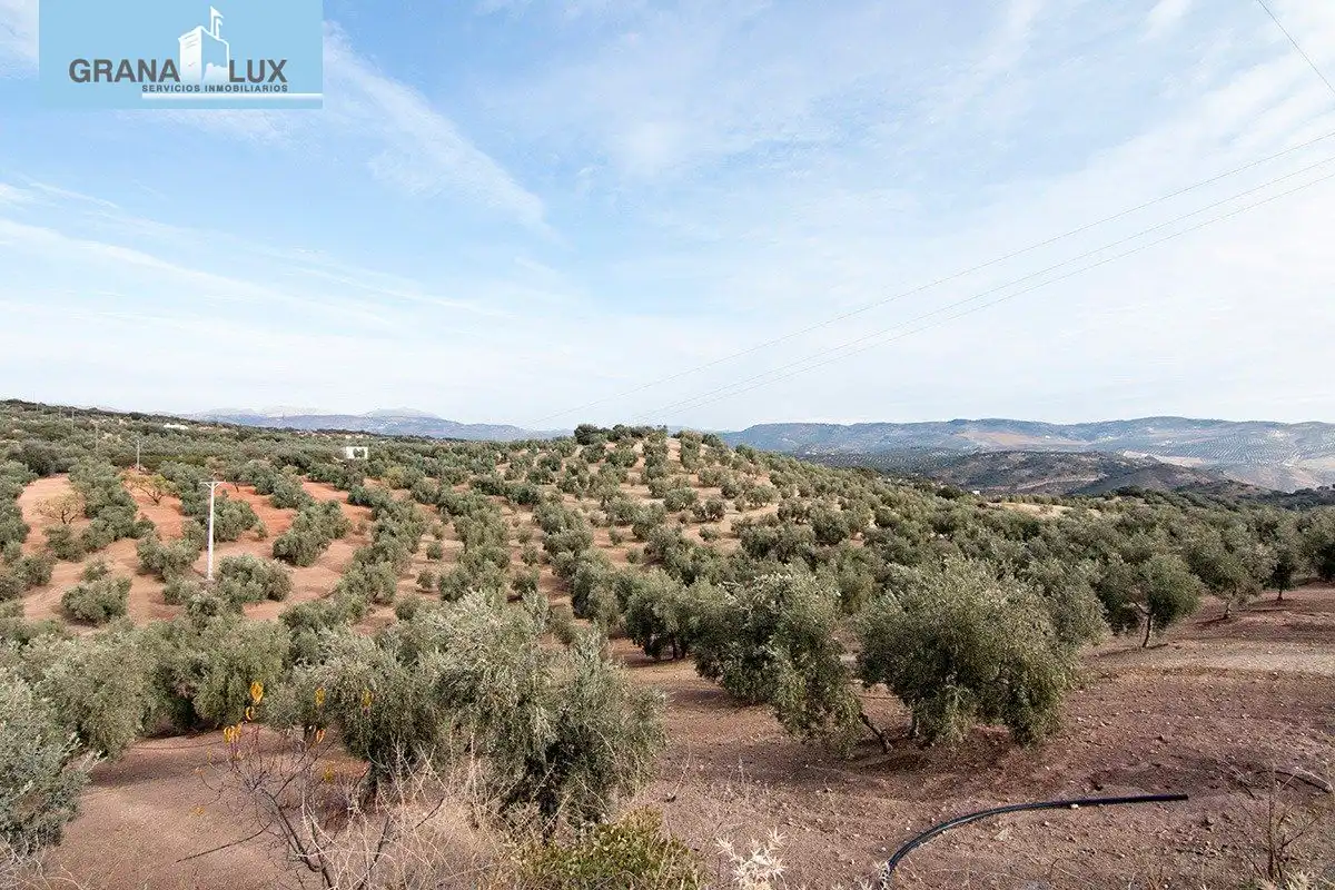 Country homes for sale in Loja
