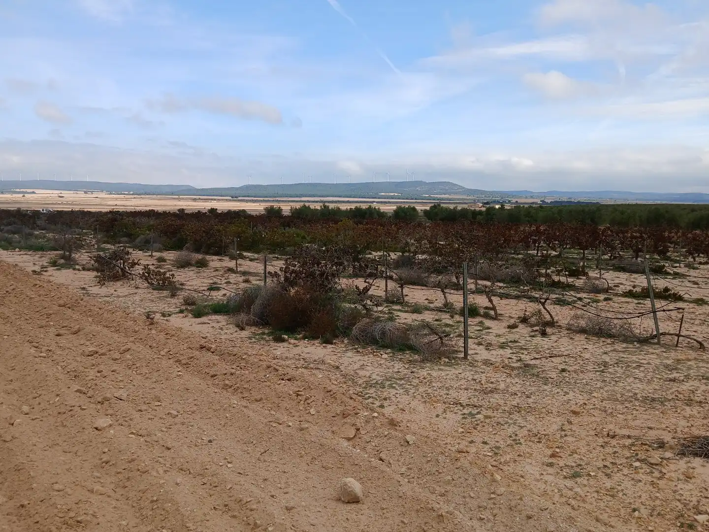 Residential land for sale in Yecla, imagen 11