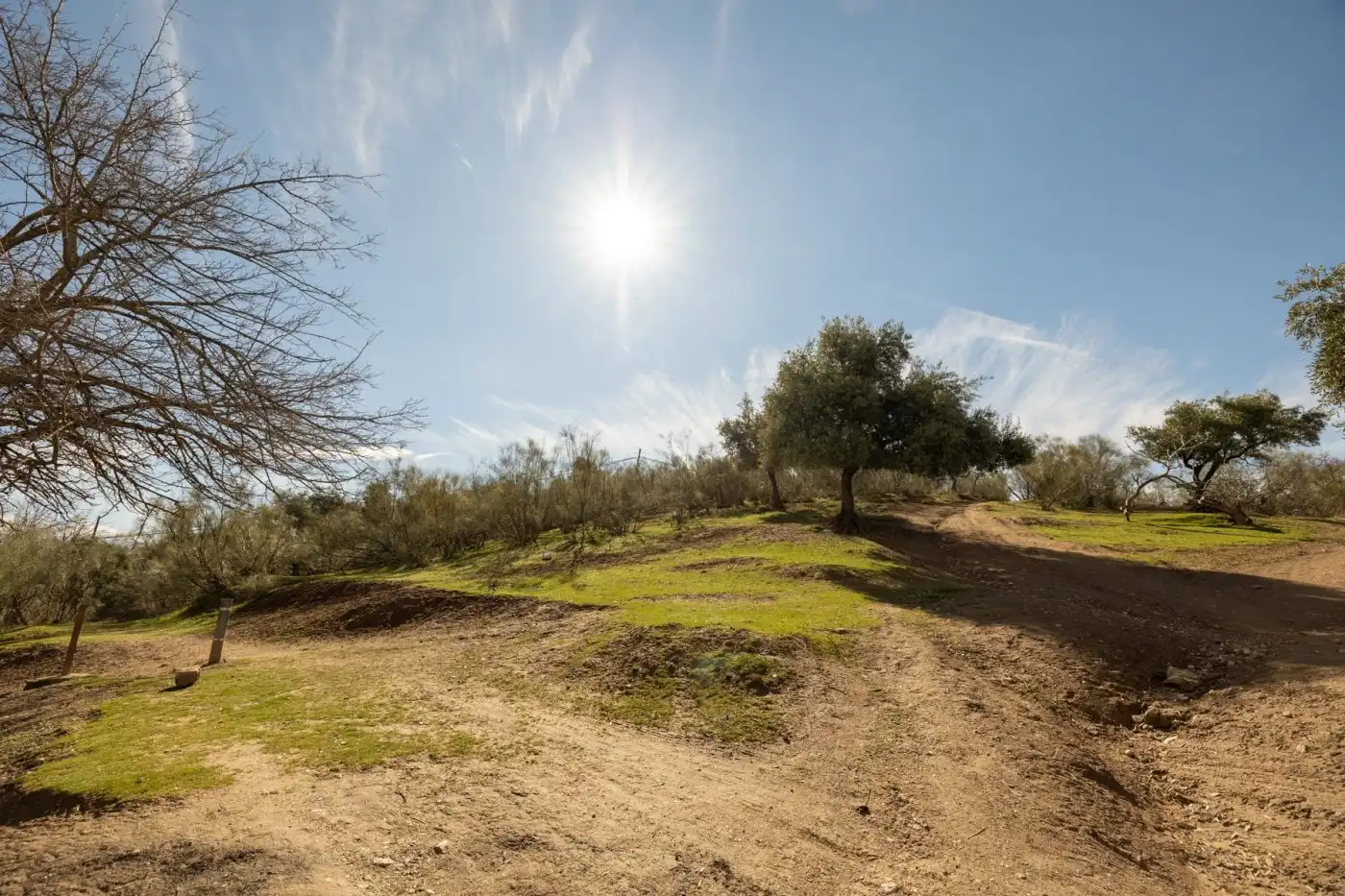 Country house for sale in Albaicín, imagen 25