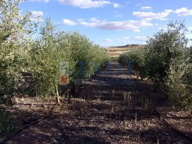 Casa rústica en venda a Valdepeñas, imagen 9