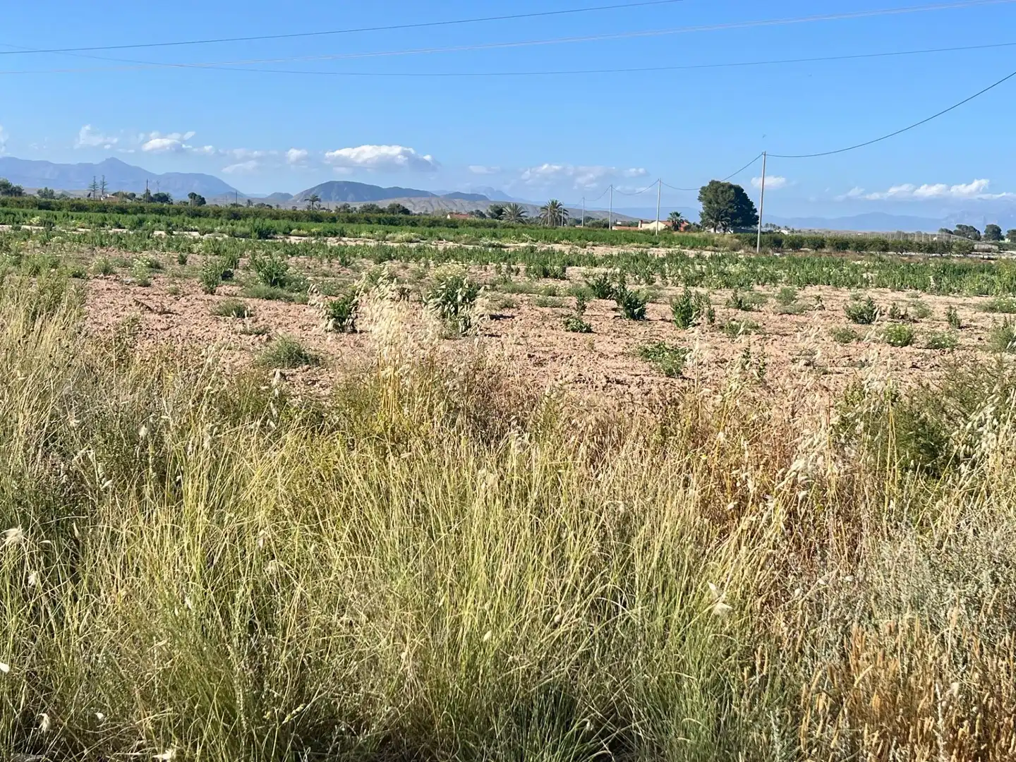 Casa o chalet en venta en Elche / Elx con Jardín privado y Trastero