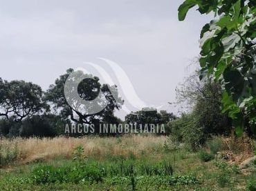 Terreni e lotti in vendita a Periurbano Este - Campiña
