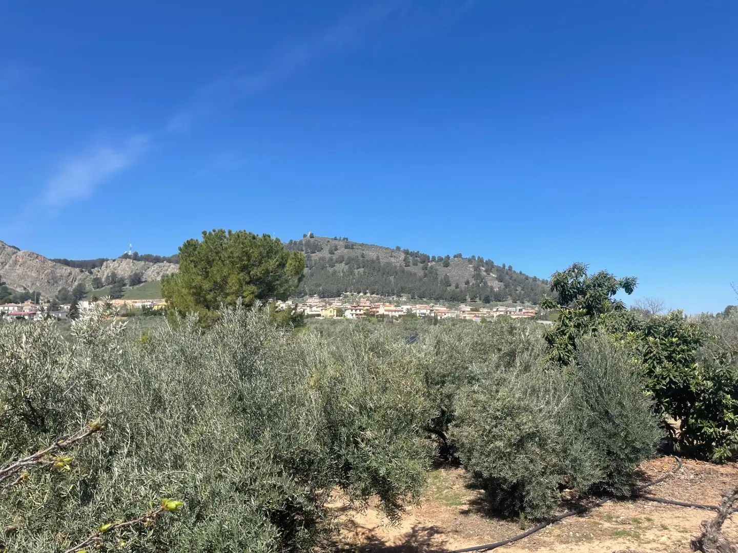 Finca rústica en venda en Albolote amb Piscina