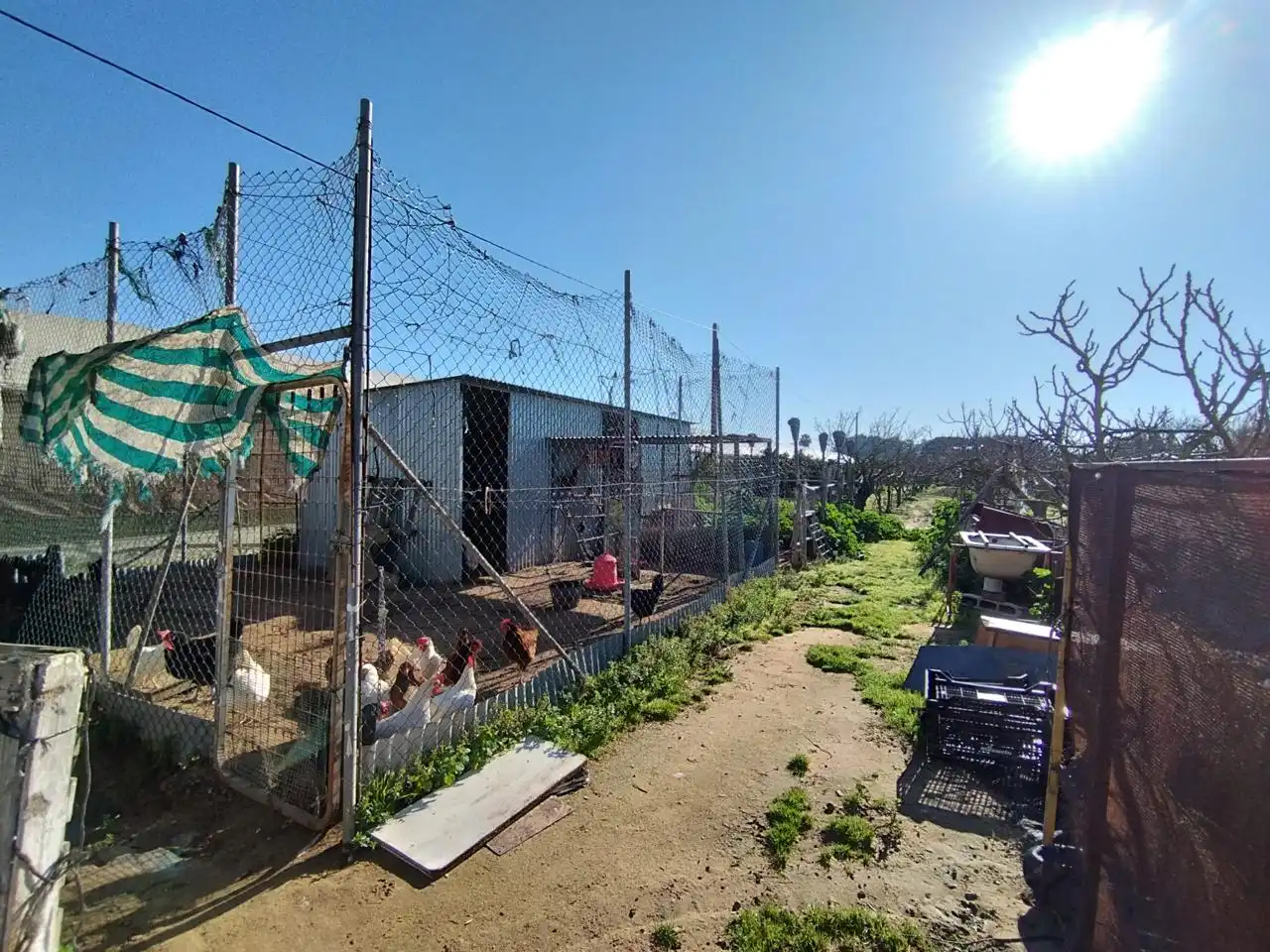 Casa rústica en venda a Las Manchuelas, imagen 13