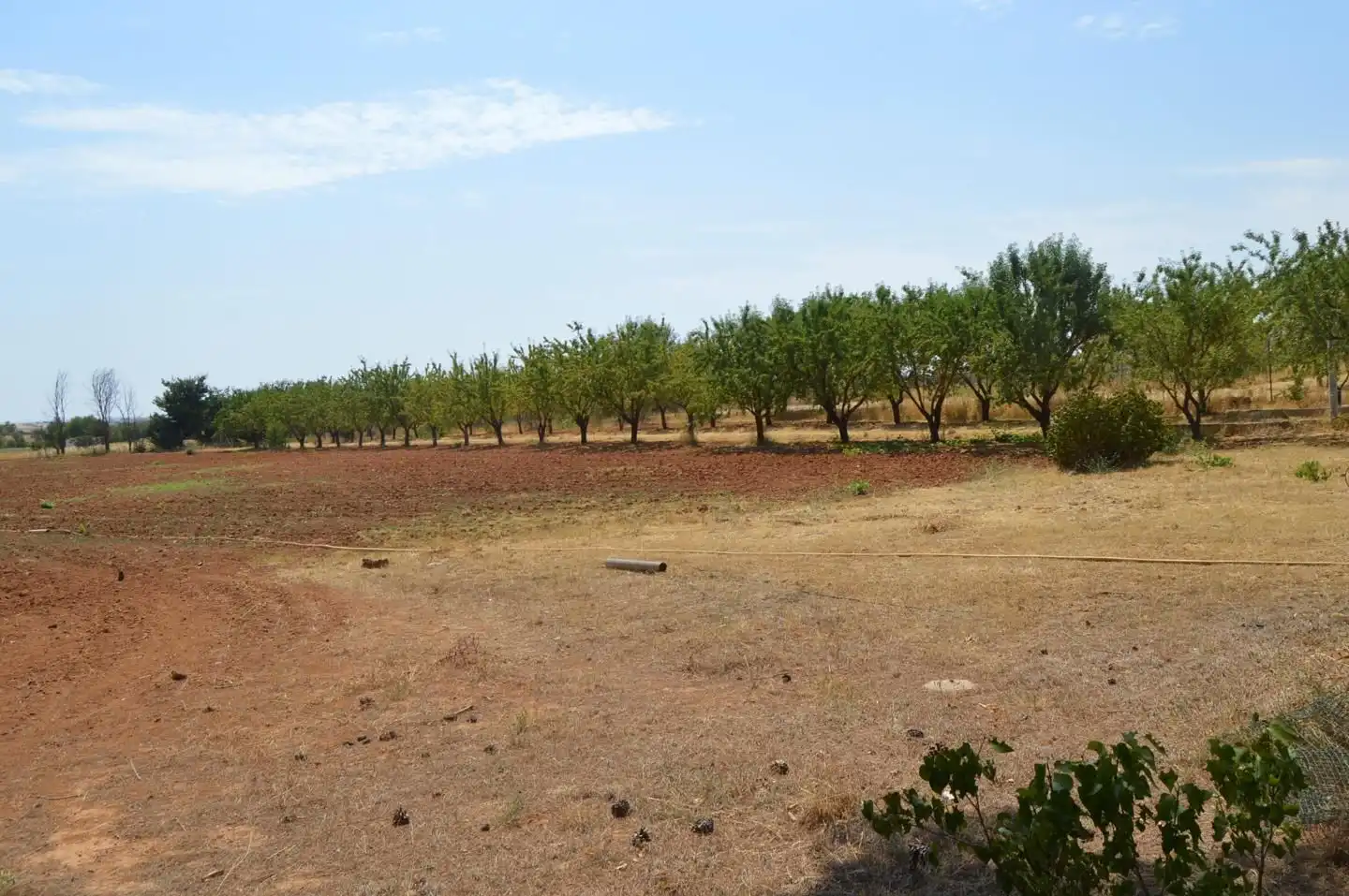 Terreni e lotti in vendita a Tarancón