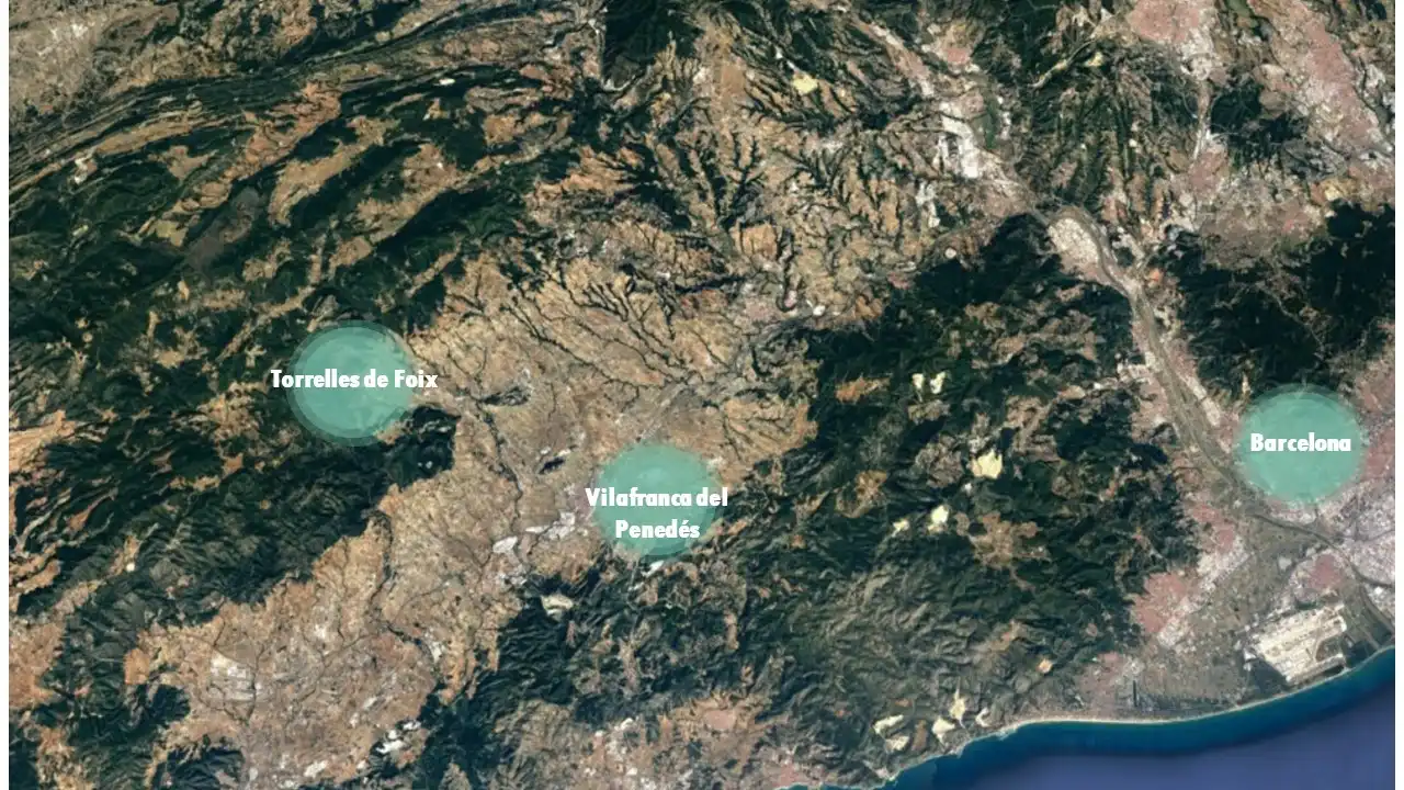 Terreny rústic en venda a C/ Begonia, imagen 5